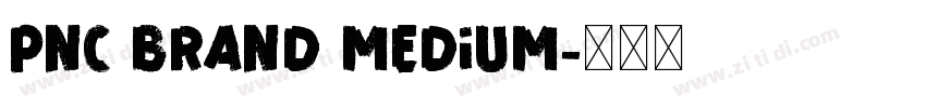 PNC Brand Medium字体转换